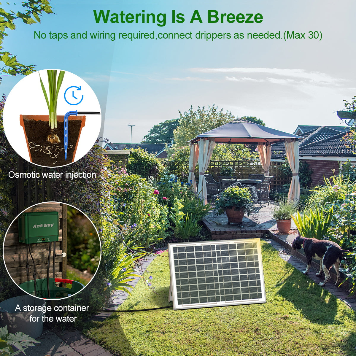 Solar-Powered Drip Irrigation Kit for Effortless Gardening | Multi-Timing Modes | Supports 30 Pots