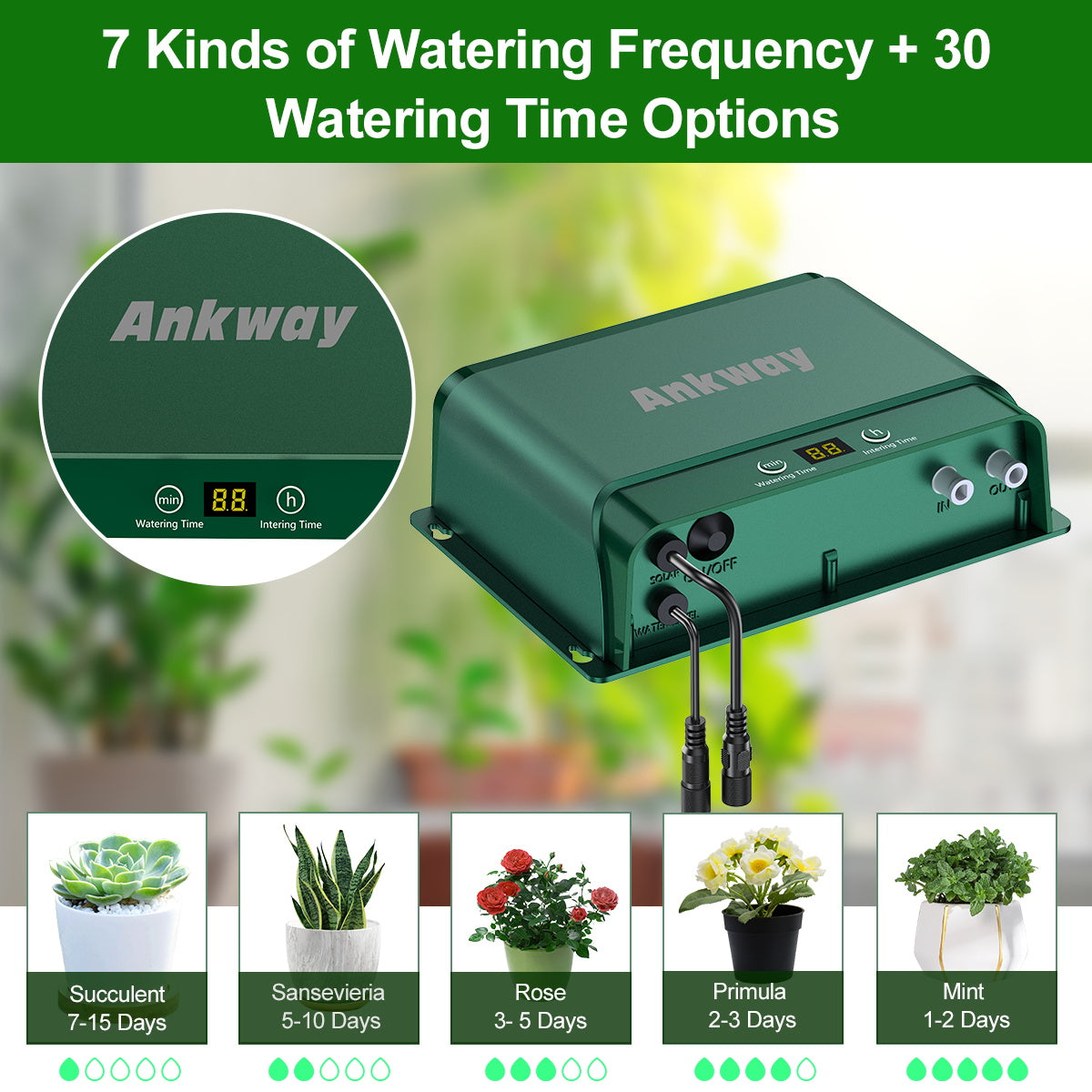 Solar-Powered Drip Irrigation Kit for Effortless Gardening | Multi-Timing Modes | Supports 30 Pots